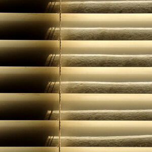 Here’s what the best blinds have to offer