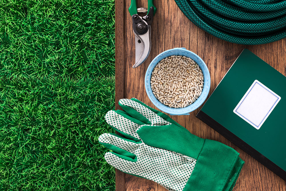 A comprehensive guide to choosing State farm insurance